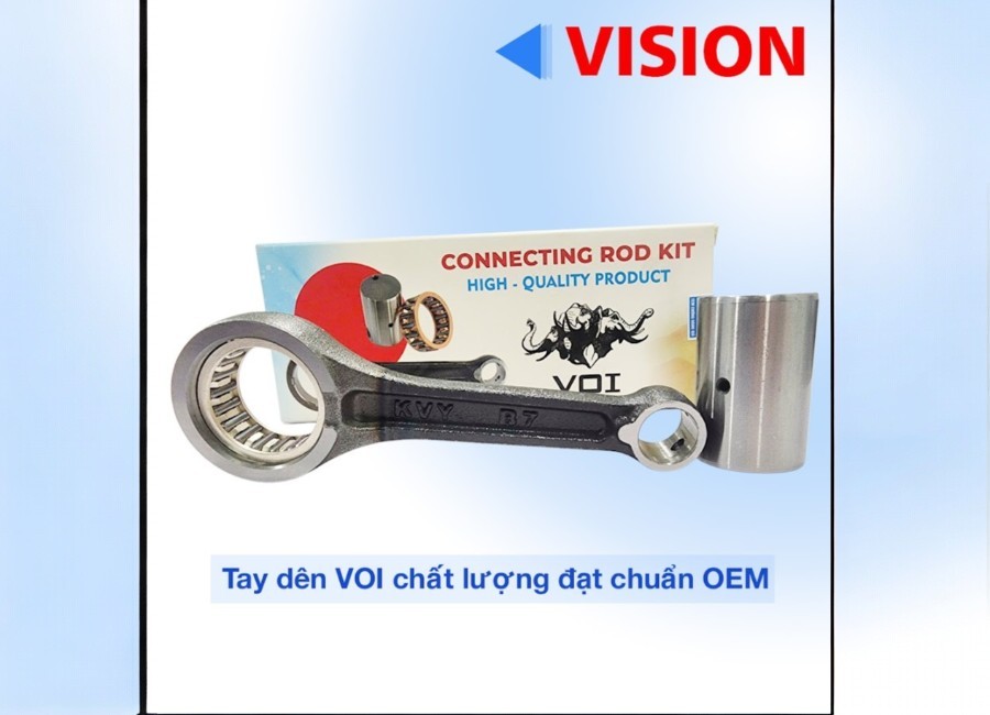 tay-den-VOI-VISION